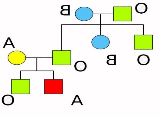 图片61.jpg